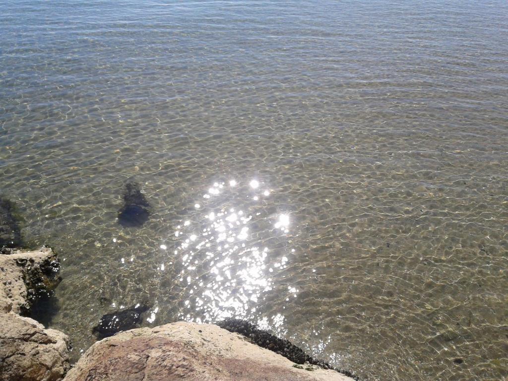 Hotel Aquila D'Oro Misano Adriatico Dış mekan fotoğraf